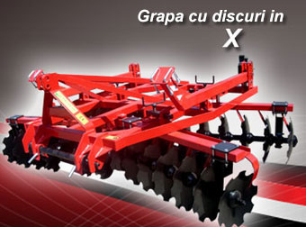 Grape cu discuri in X